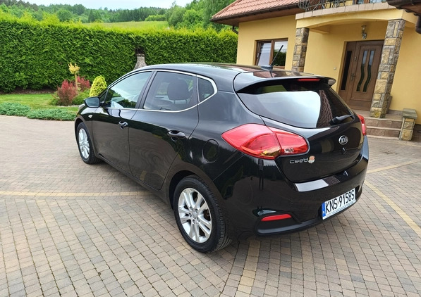 Kia Ceed cena 33500 przebieg: 174850, rok produkcji 2014 z Krynica-Zdrój małe 781